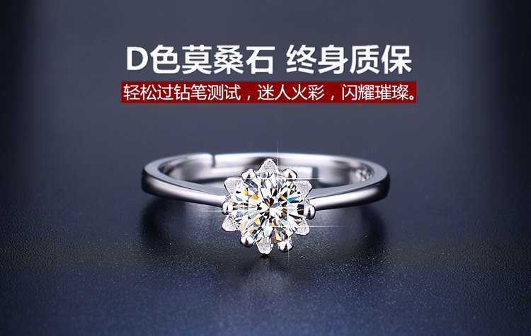 DSC_2428 拷贝_副本