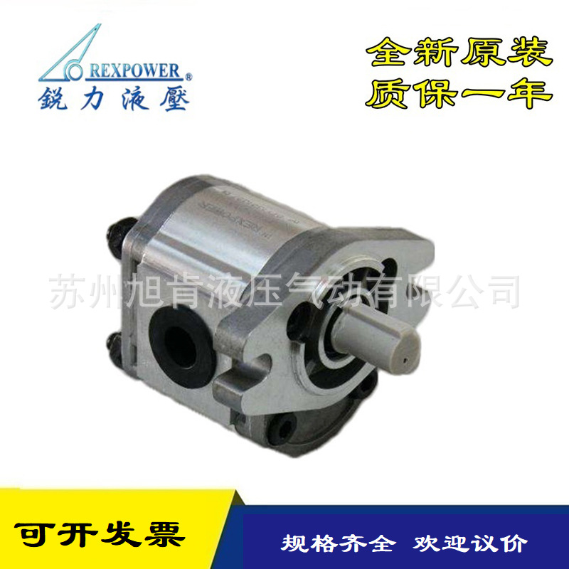 锐力齿轮泵RGP-F319R/F320/F323/F325/F328/F330R/RN/LN-S-K4