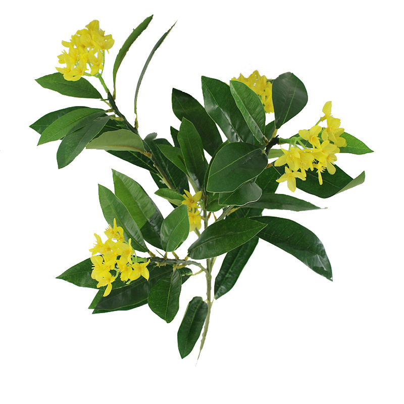 XRB-167 新桂花五叉枝立体5.jpg