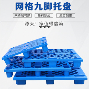 1210���Ͽ���W����_�����бP�}���������ϗ���؛�����D���z�бP