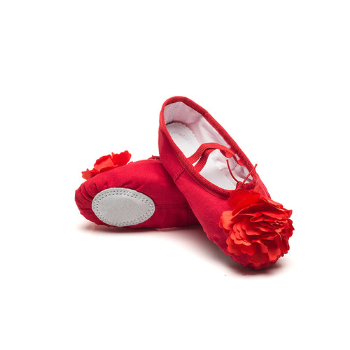 Adult children's dance shoes, men's and women's ballet soft-soled exercise shoes, body class yoga shoes, flower cat claw dance shoes