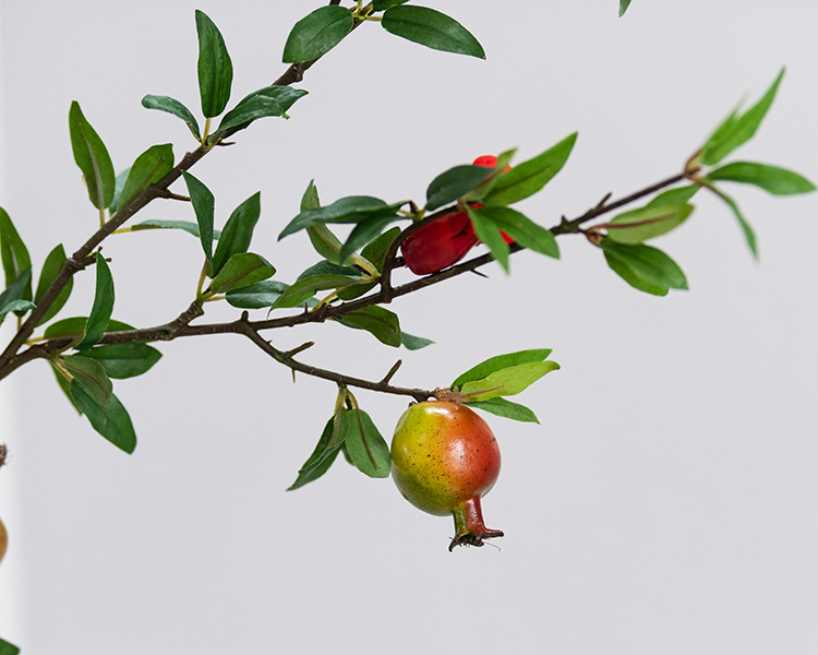 5头石榴带花 红绿色_06.jpg