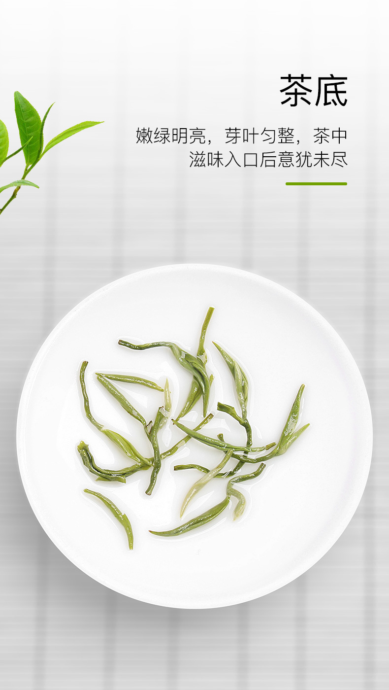 绿茶(碧螺春芯子2#)_05
