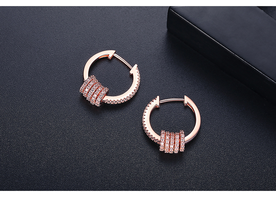 Earrings Korean Fashion Sweet Lady Copper Inlaid Zirconium Earrings Wholesale Nihaojewelry display picture 3