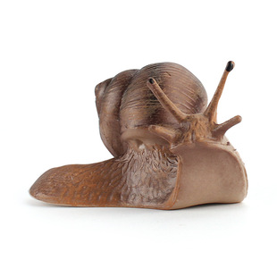 ��ͯ����΁ţģ��ͥԺ�辰�b[��PVC�����o�B΁ţ���Q؛Դ���l