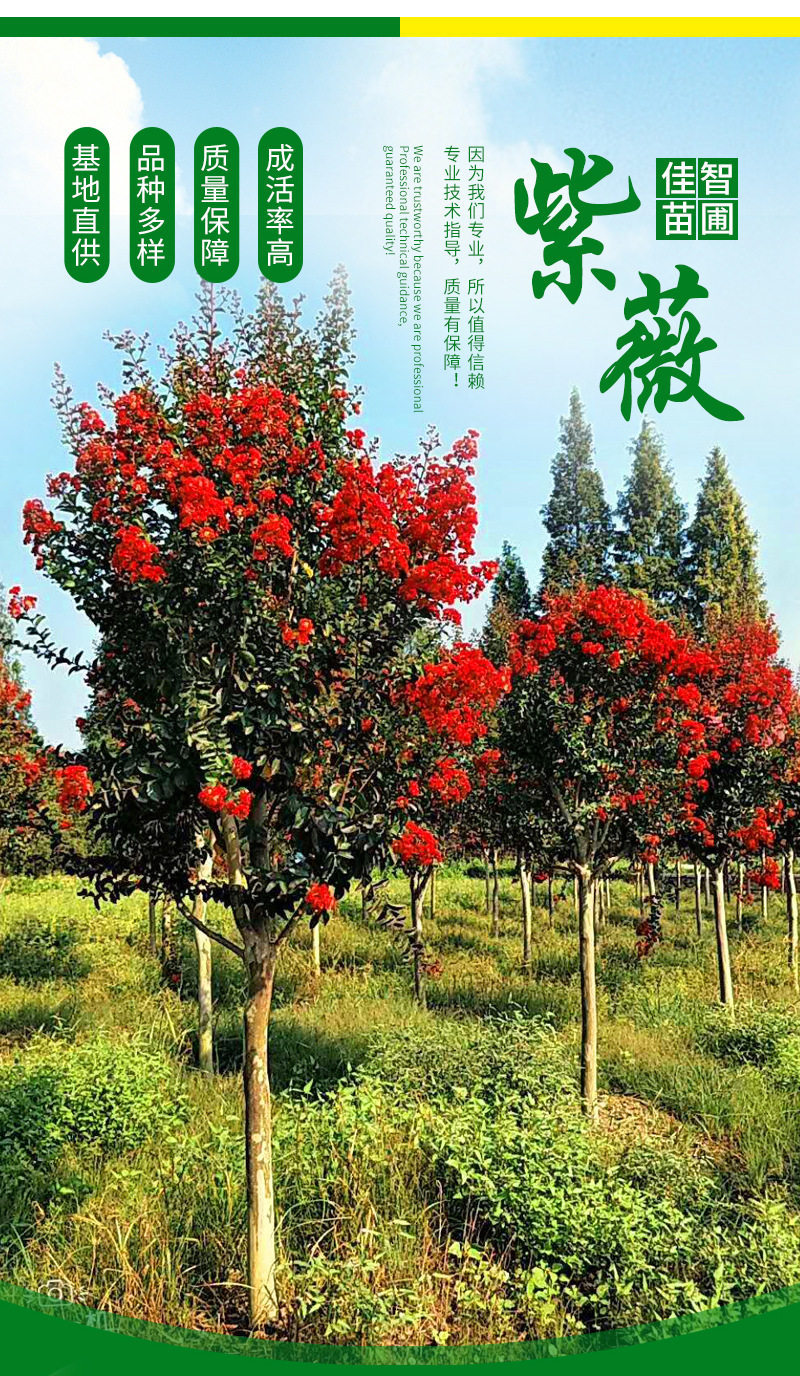 �ۻ��ҹ�-����_03