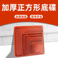 �Ӻ��������бP �Gֲ���������ˮ�Pȫ���ϭh�����|��֬��������