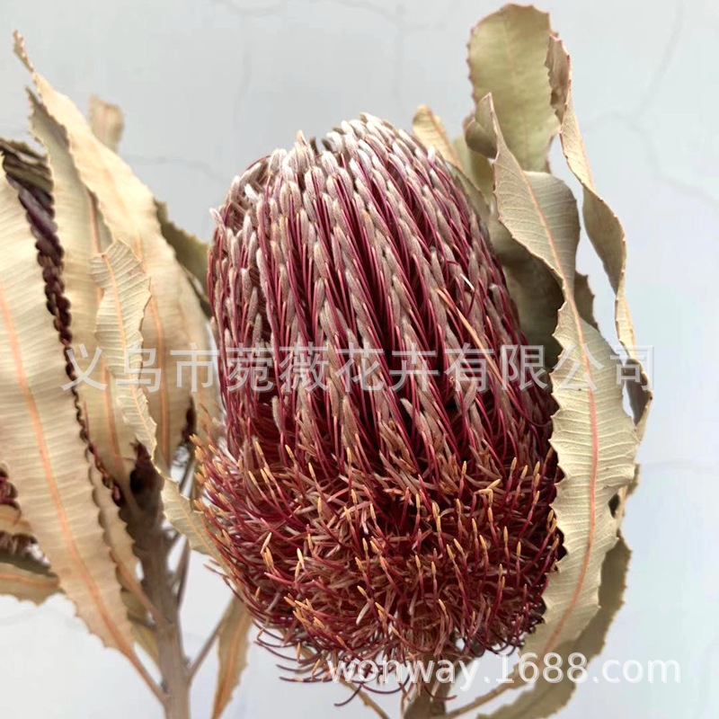 微信图片_20201212223648