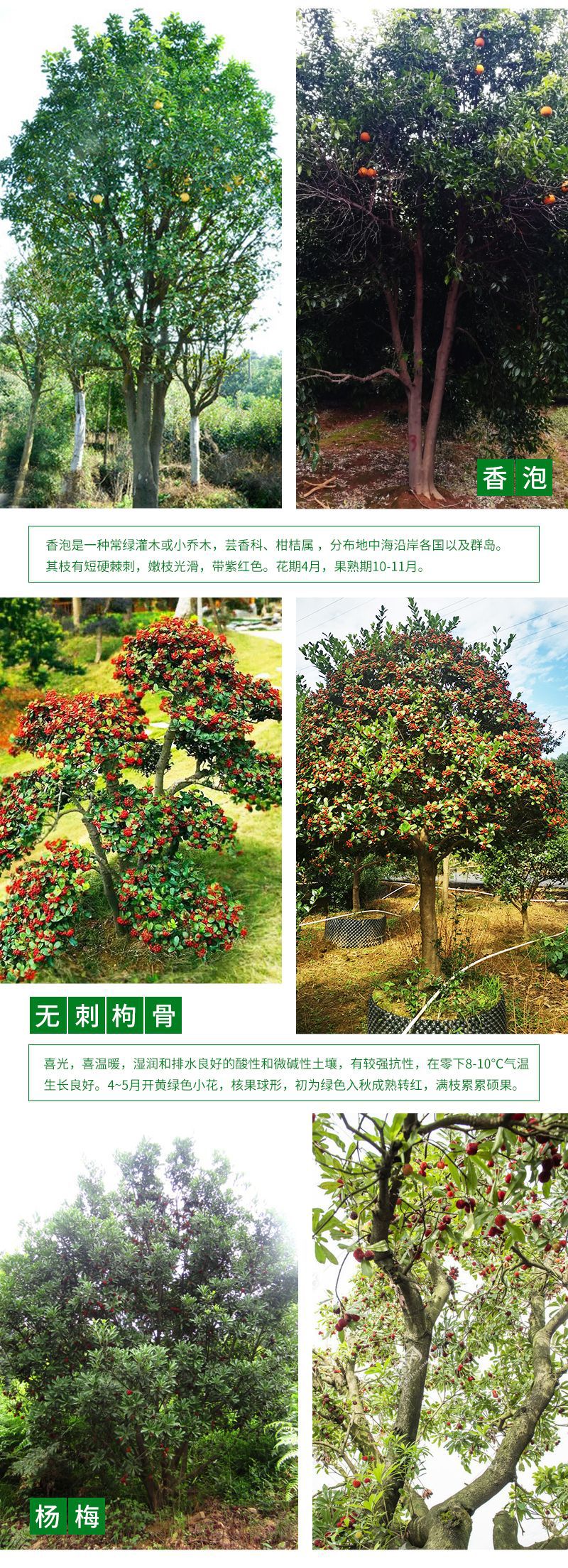 �ۻ��ҹ�-����_07