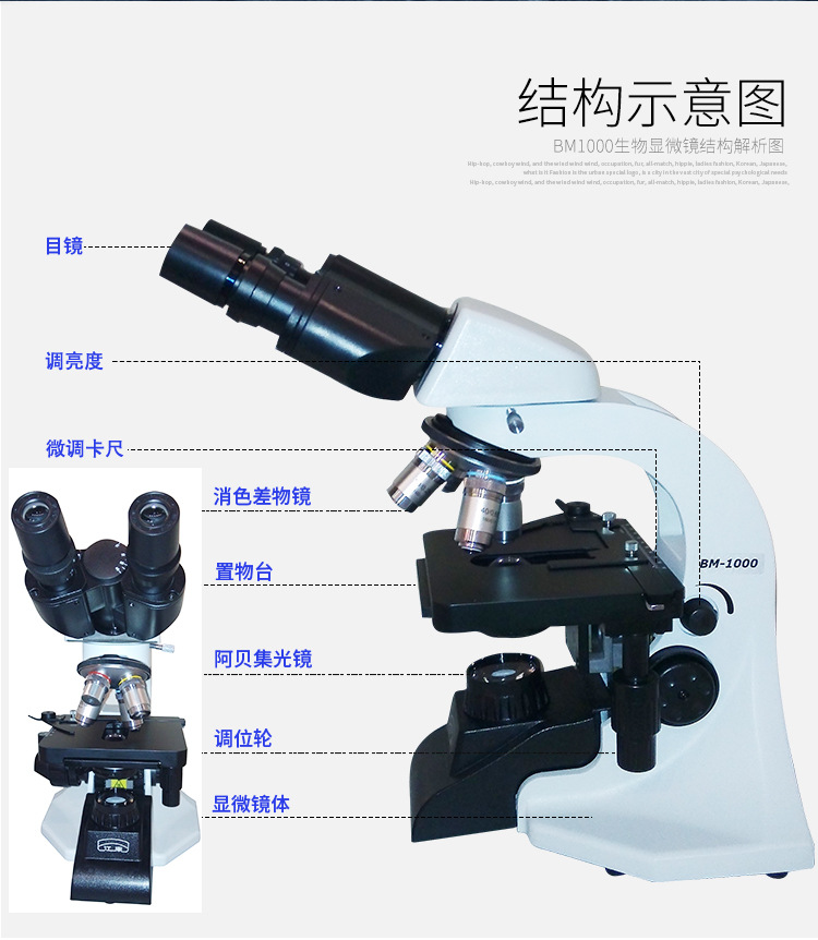BM1000生物显微镜/双目三目/细胞医疗实验用化验病理学生物显微镜