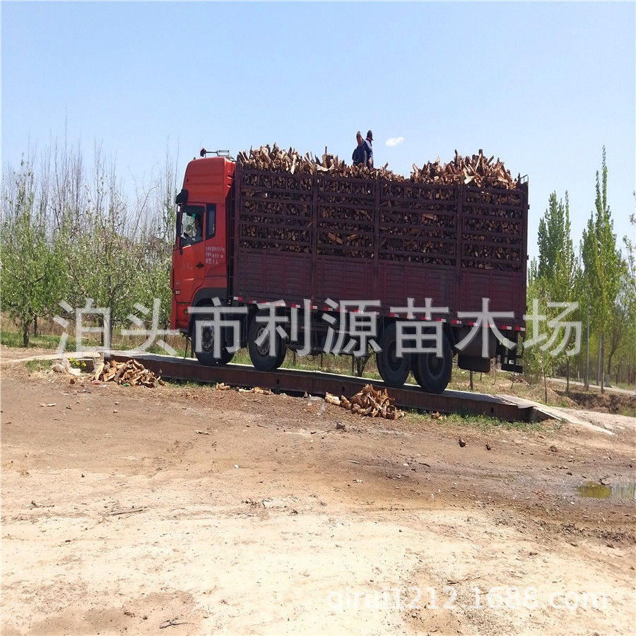 烤鸭烤肉枣木柴