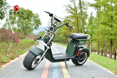 Parent-Child Scooter Bicycle, Elektrikli motosikletlər
