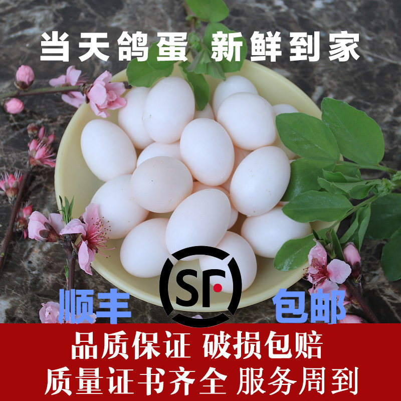 Free Shipping Wholesale Selected 30 Shunfeng White Pigeon Eggs Free Shipping Fresh Local Specialty Farm Grains Free-Range Baby