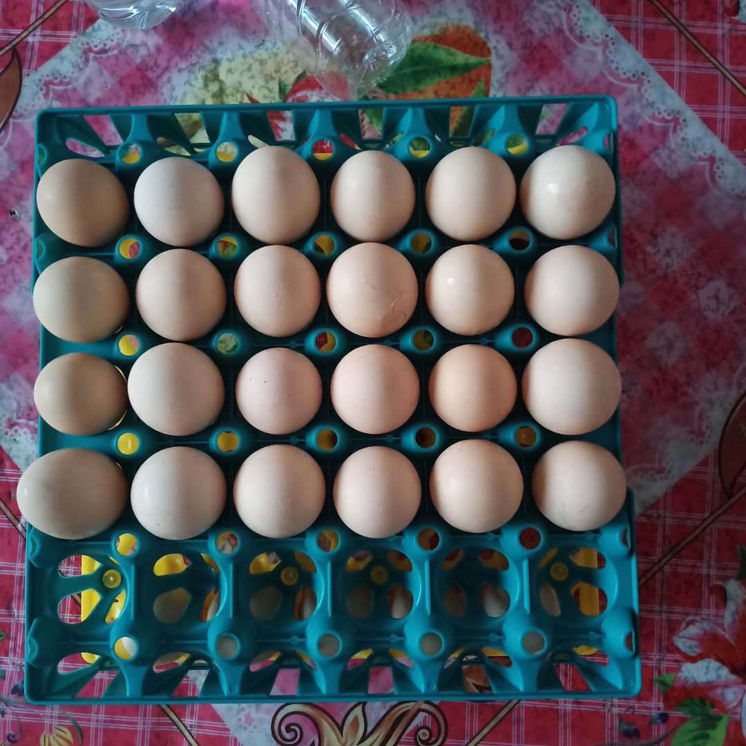 微信图片_20200622111652