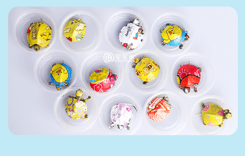 长尾炫彩详情13