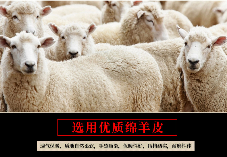 绵羊皮.jpg