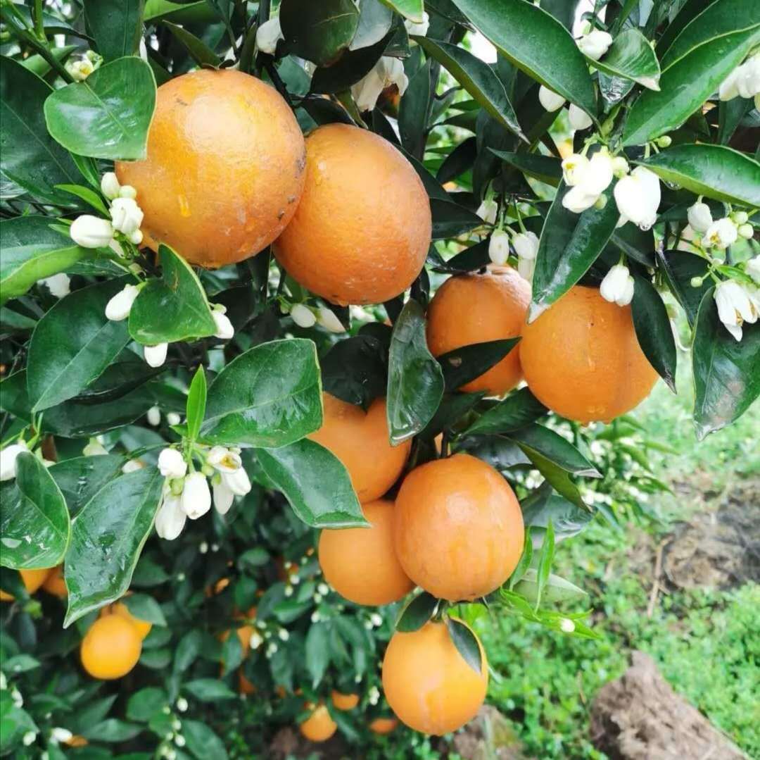 21230317462_944498898 (1)