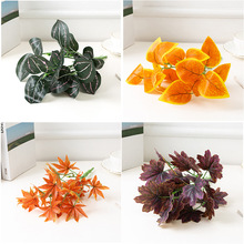 �Գ�����Gֲ����С���Բ廨ֲ�� ��������ř��b����~�����l