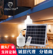 LED太阳充电球泡灯 家用停电应急照明球型灯露营移动夜市摆地摊灯