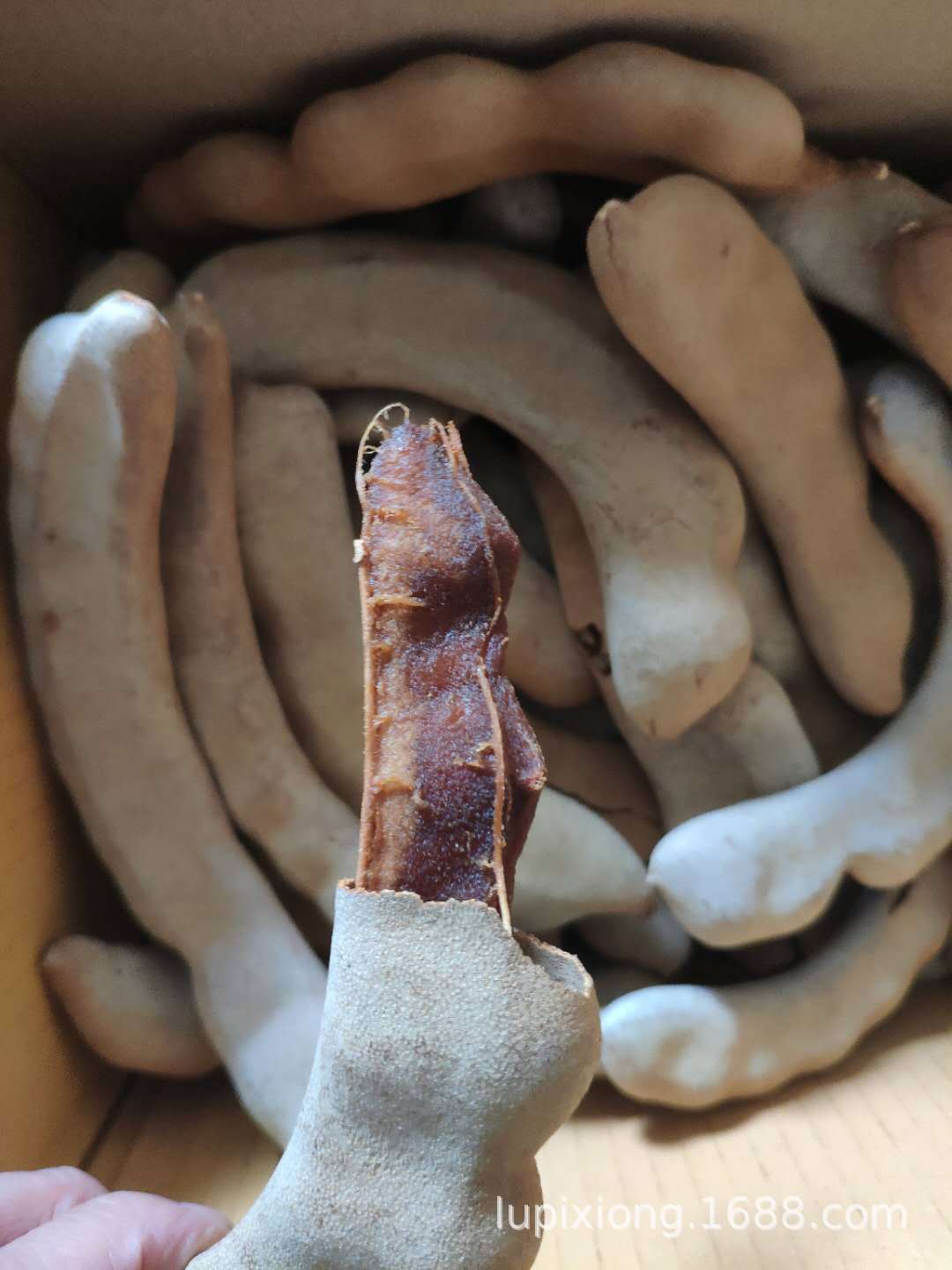 图片_20200402110648