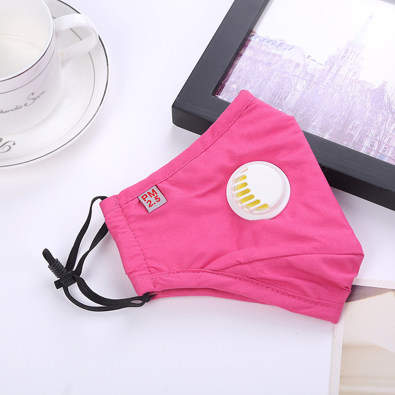 pm2.5 adult Protective masks Autumn and winter keep warm outdoors Haze dustproof cotton lovers keep warm Mask