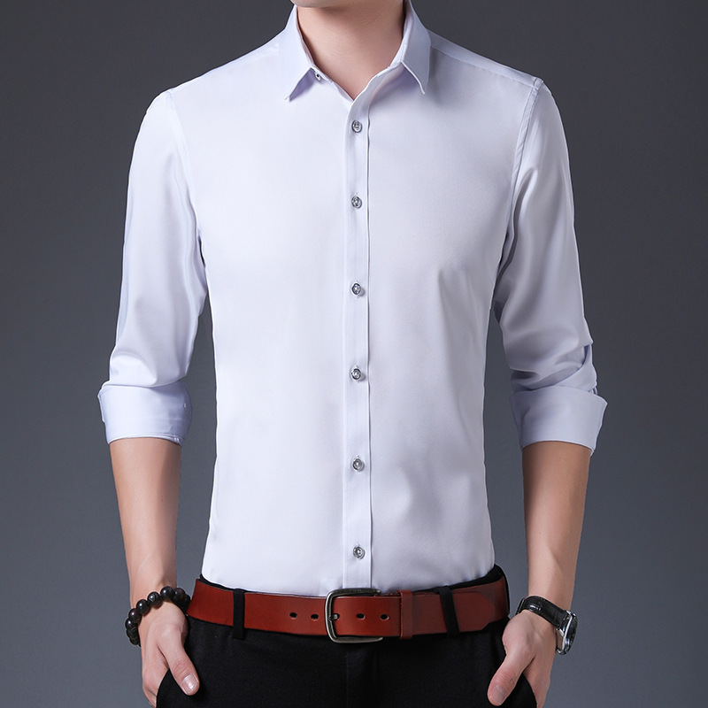Như ảnh