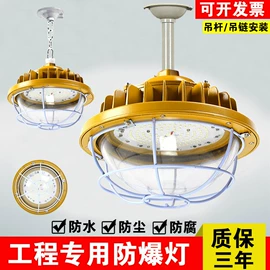 LED装饰灯;防爆灯;投光灯
