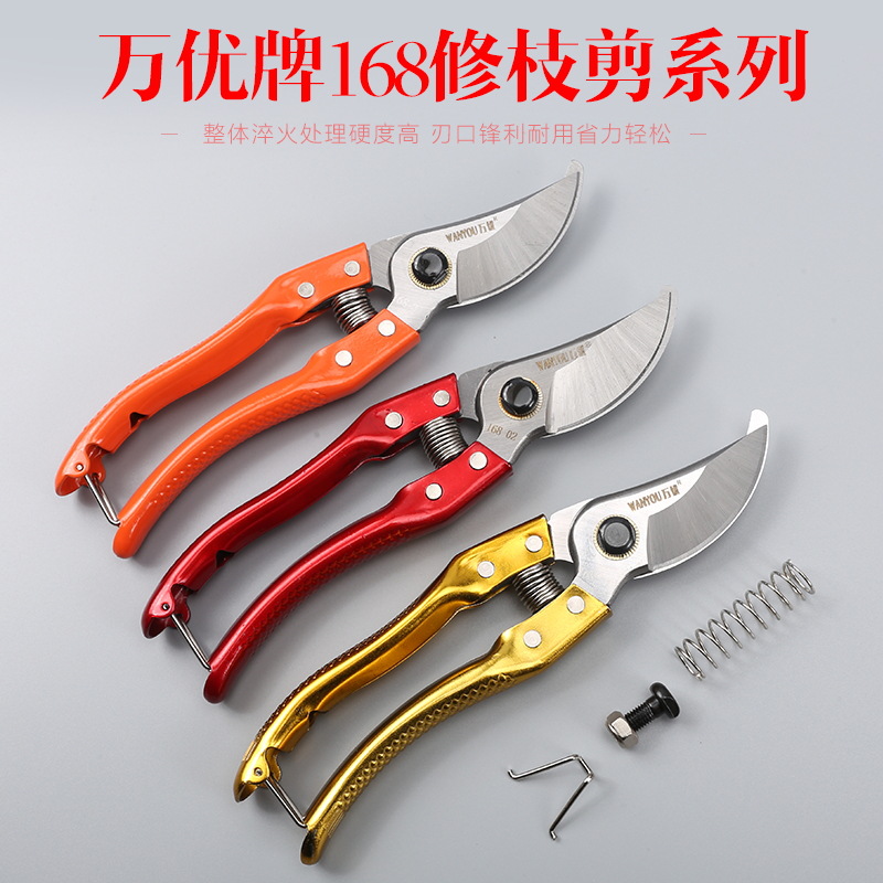 修枝剪果树剪刀树枝剪园艺剪修花工具蔬果修枝粗枝剪盆栽剪刀家用