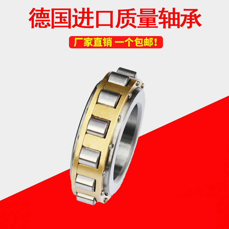 德国进口圆柱滚子轴承RN307 308 309 310 312 328EM