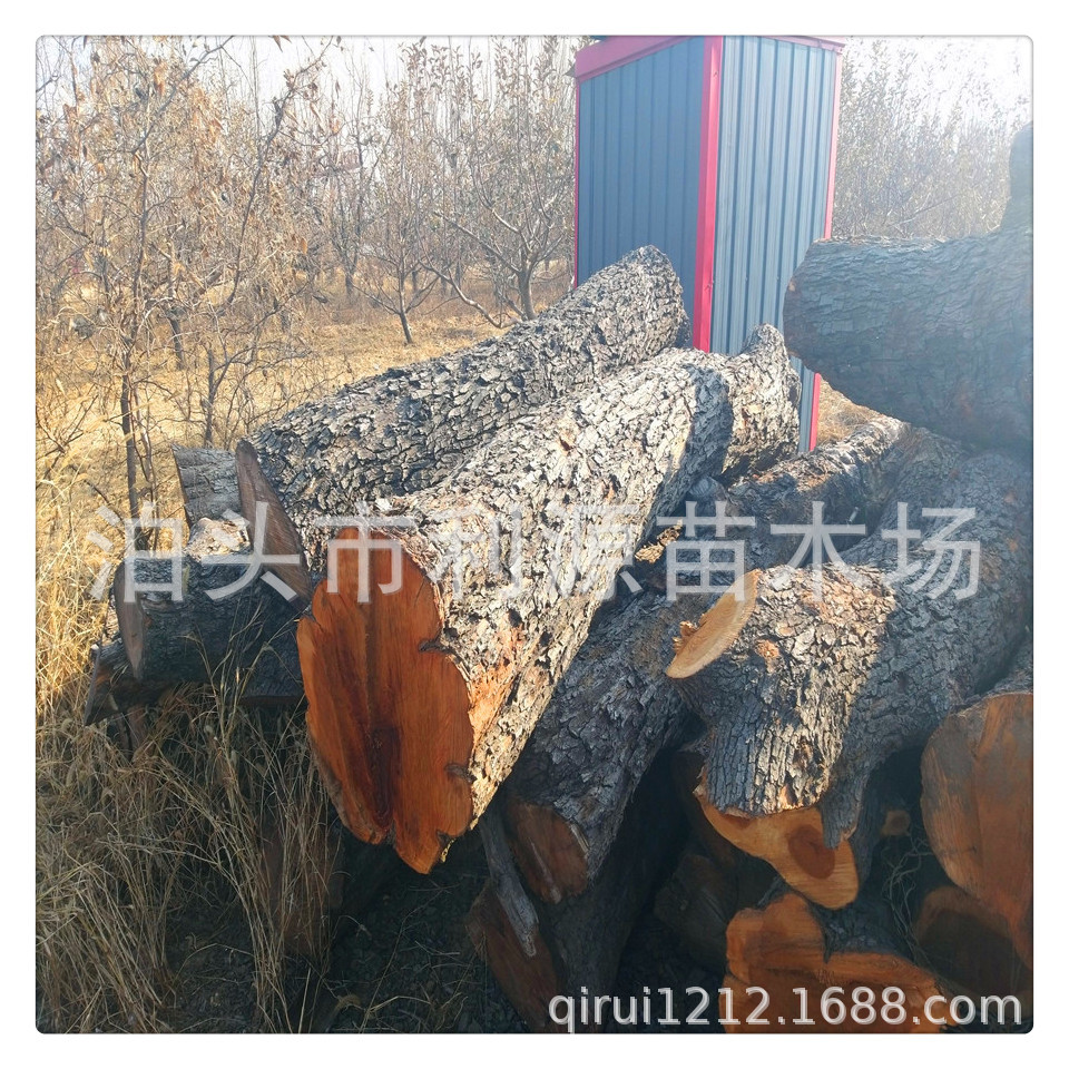 supply Specifications Jujube Carved jujube wood Jujube timber material Source of goods stable Adequate National shipping