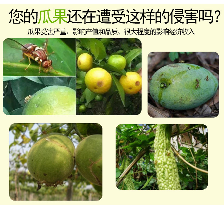 O1CN01STHdiD22o4mGf16bT_!!2206