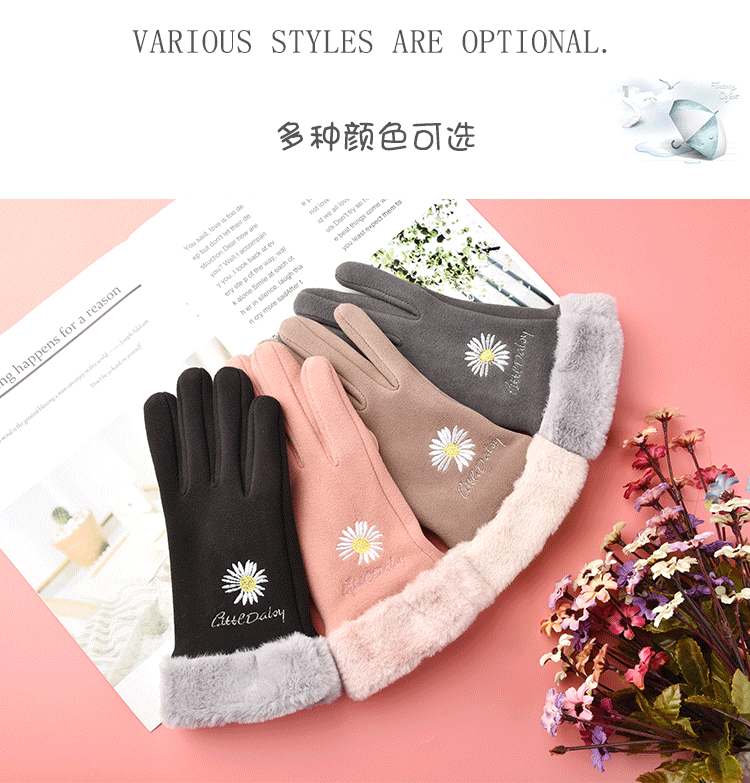 女德绒雏菊 (5).gif