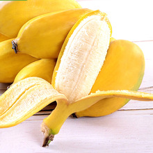 【年后發貨】3/5/9斤廣西小米蕉 代發新鮮水果美人芭蕉皇帝蕉