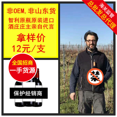 新品进口智利干红葡萄酒小瓶187.5ml西拉代理直销传统渠道实体店