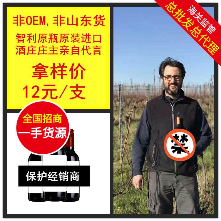 新品进口智利干红葡萄酒小瓶187.5ml西拉代理直销传统渠道实体店