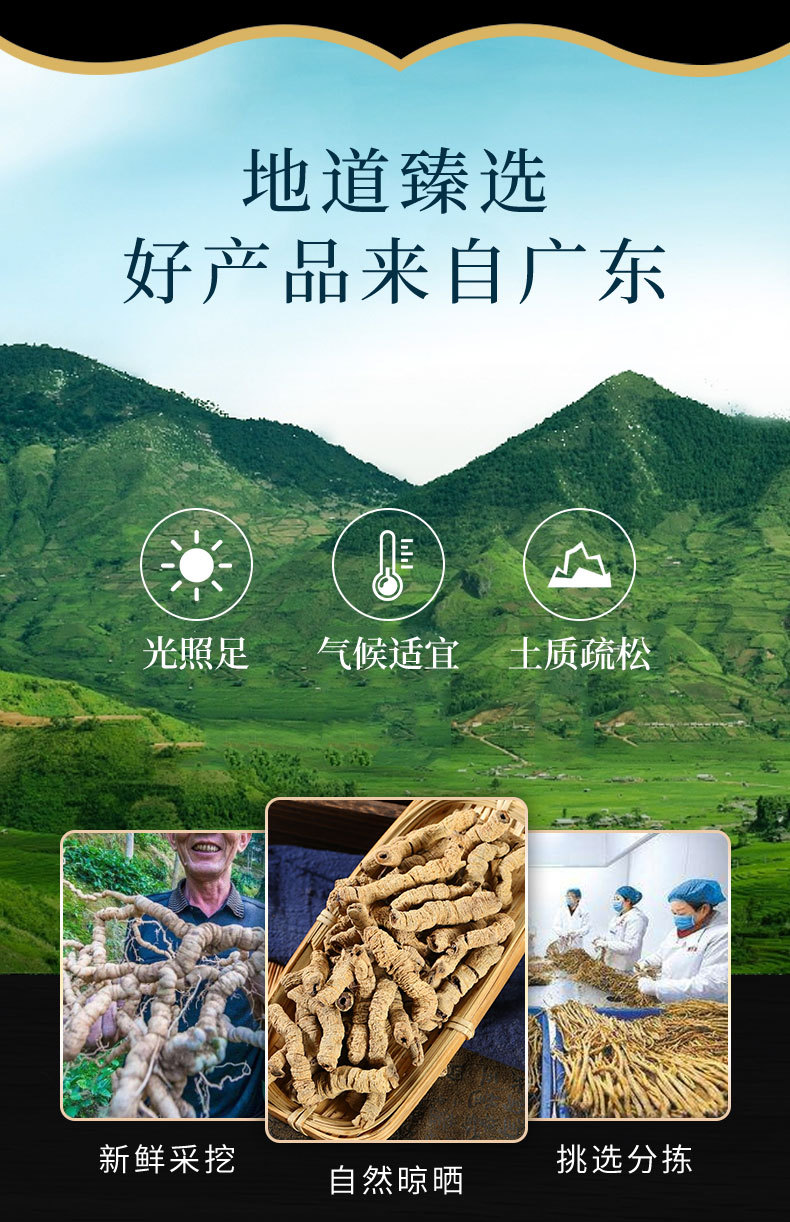 Ba Ji Tian Powder (Morinda officinalis) — Dried Yang-Tonifying Food Herb, 500g overview