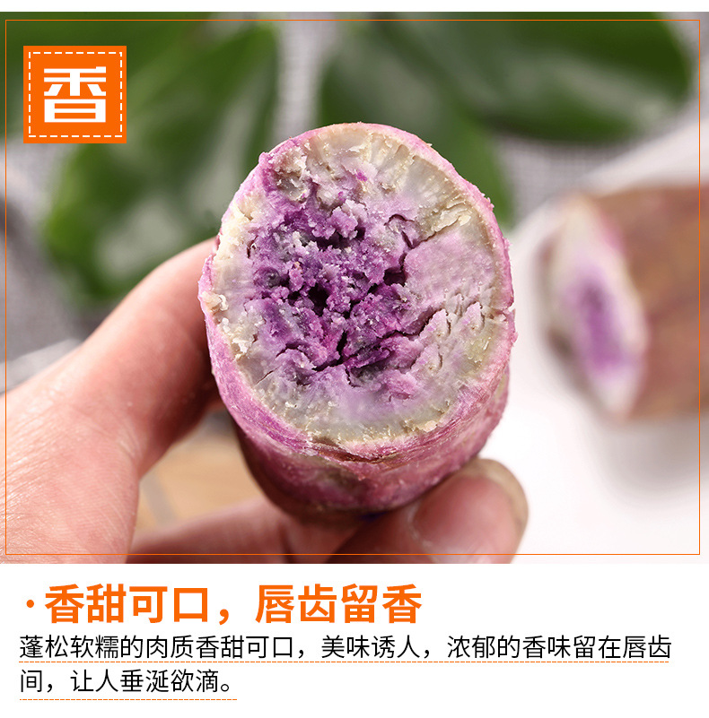 O1CN01vVHtD31uADO6iet5o_!!3220