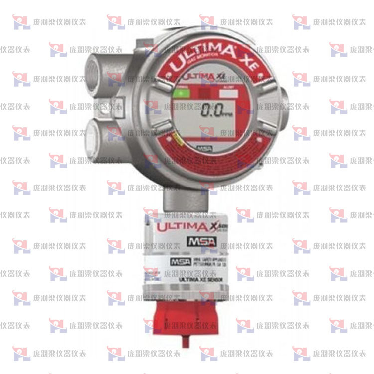 美国MSA梅思安  气体探测器