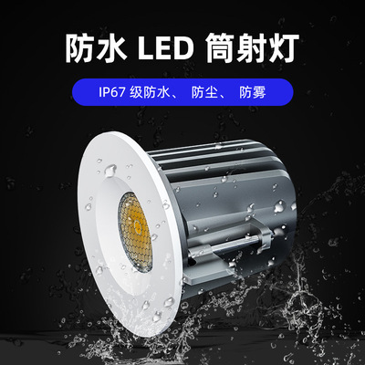 浴室淋浴澡堂防霧防塵led射燈雨棚燈戶外飄檐嵌入式IP65 防水筒燈