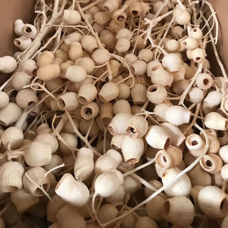 微信图片_20200416133945_副本