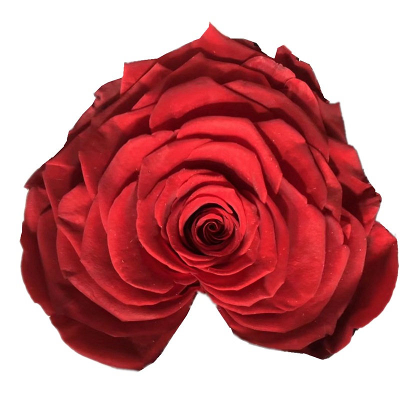 微信图片_20200411232511