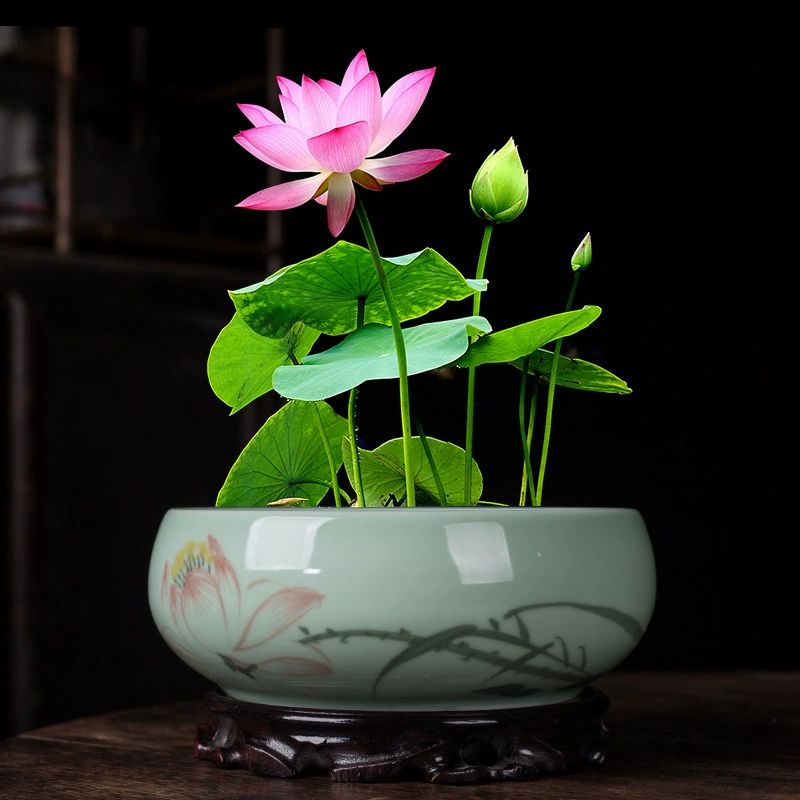 Настольный гидропонный цветочный горшок в китайском стиле, керамический медный денежный травяной водяной лилии, чаши, лилии, непористый бытовой резервуар для воды, подъемный держатель для ремня с зелеными растениями