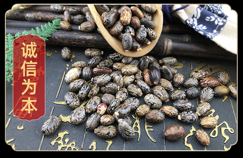 Castor Seeds Bi Ma Zi Dried Ricinus Communis Bulk Herbal Seeds 500g in use