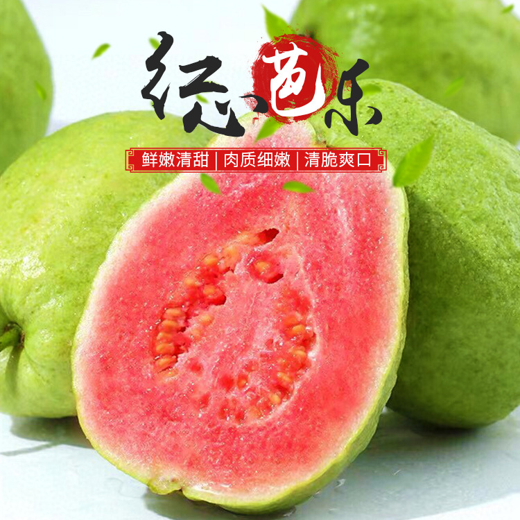 红心芭乐一件代发台湾珍珠番石榴新鲜应季水果红心芭乐果芭乐