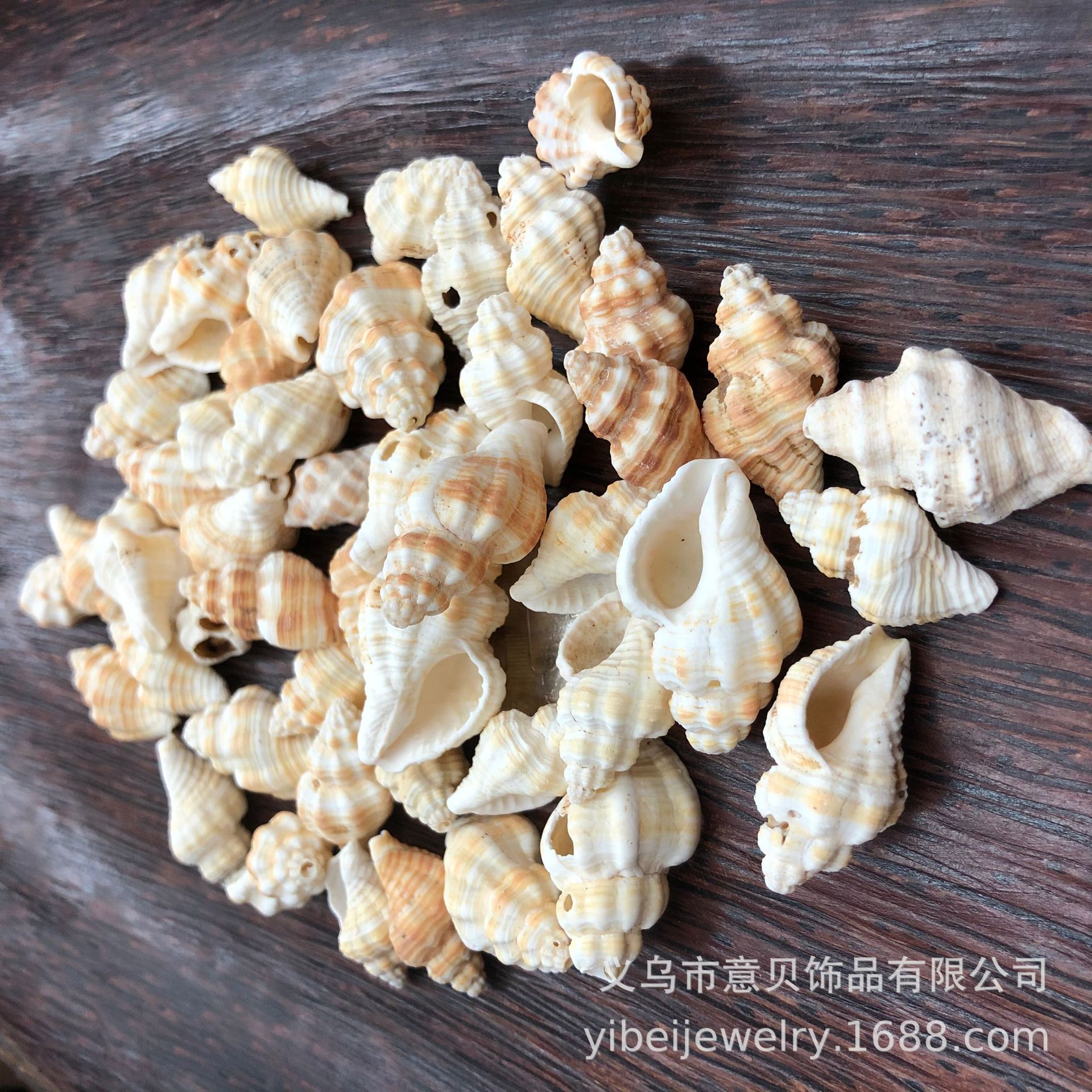 AB929597B394E2B261B8E73B36EB38