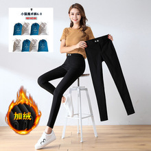 ��ƷС؈ħ�gѝ8.0�����¿���������С؈5.0�@��С�_���ѝŮ