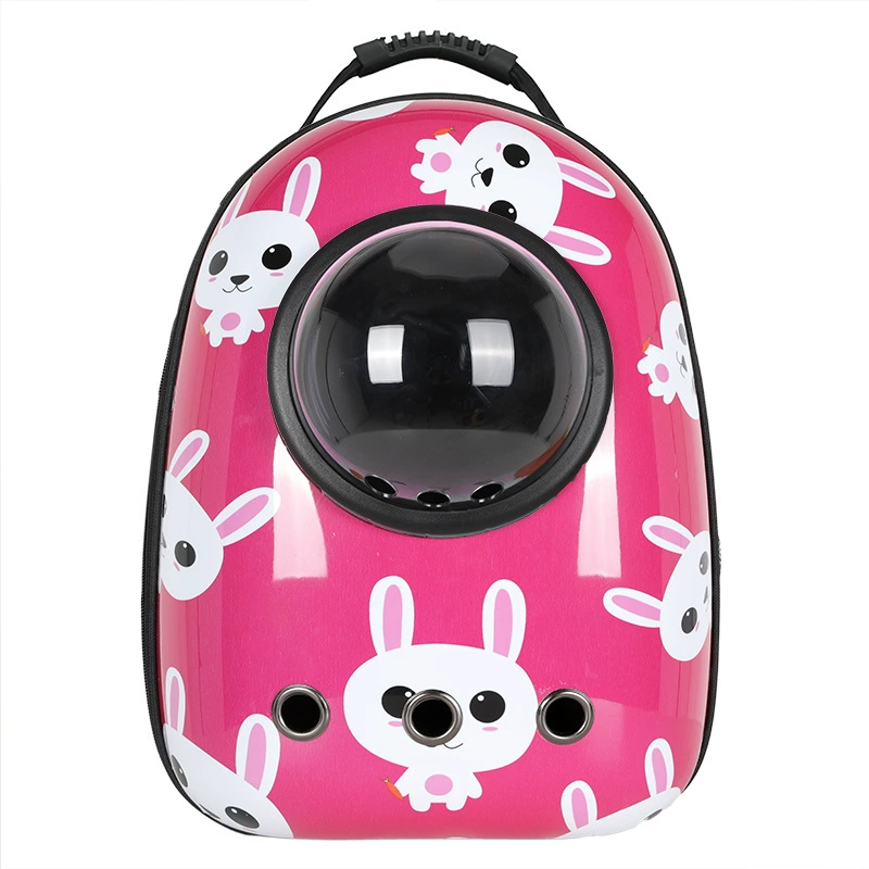Space handheld breathable travel backpack to go out for leisure