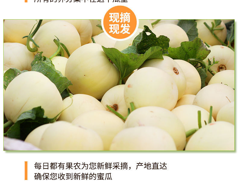 d46a3fe3ac57bbebe63cc9ab6c918f