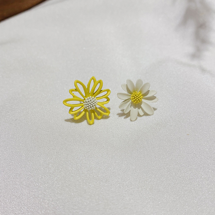 20285055684_1490534638