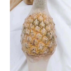 New Pineapple Socks Summer Ultra-Thin Velvet Women's Sheer Hose Small T-Top Stockings Any Cut Leggings Transparent Stockings